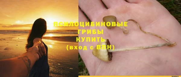 индика Зерноград