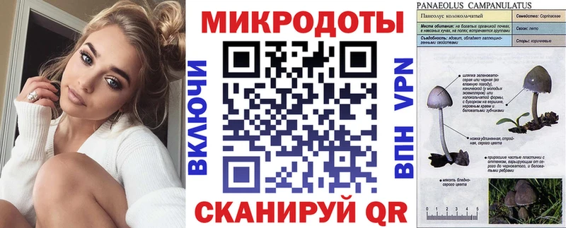 Галлюциногенные грибы мухоморы Канск