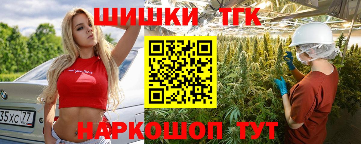 Канабис сатива  Шишки марихуана план  Канск  Вход с VPN 